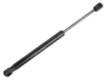 252550A2 Dujinė spyruoklė