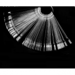 Tipsų paletė su žiedu permatoma, 50 vnt.