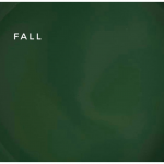 TOUCH NAILS hibridinė nagų lako bazė ilgalaikiam manikiūrui COVER BASE, 13 ml (Fall )