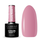 CLARESA ilgalaikis hibridinis nagų lakas DUSTY ROSE 8, 5g.