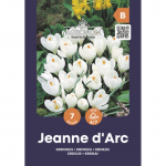 Krokai AGRONOM JEANNE DARC, AG26