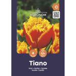 Tulpės AGRONOM TIANO, AG26