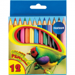 Spalvoti pie&scaron;tukai CENTRUM  ZOO, 12 vnt