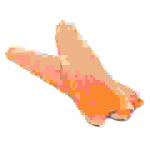 Vaivoryk&scaron;tinio upėtakio filė, 1 kg