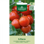 Pomidorai SAINT PIERRE