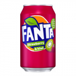 Gaz. bra&scaron;k. ir kivių sk. gėrim. FANTA, 330 ml