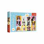 Žaislas dėlionė &scaron;uniukai 60vnt Trefl