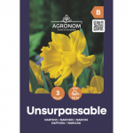 Narcizai AGRONOM UNSURPASSABLE, AG26