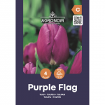 Tulpės AGRONOM PURPLE FLAG, AG26