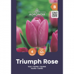 Tulpės AGRONOM TRIUMFA ROSE, AG26