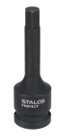 Smūginė galva HEX H17x78