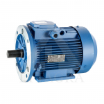 Elektros variklis 5,5 kW (420)