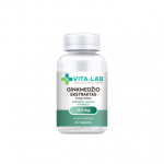 VITA-LAB Ginkmedžio ekstraktas 120 mg, 90 tablečių