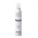 NOAH plaukų putos su migdolų aliejumi, 250 ml