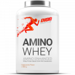 DION SPORTLAB AMINO WHEY, Kapučino sk., 900 g