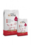 Platinum VetActive hipoalerginis pa&scaron;aras &scaron;unims su iberijos kiauliena (vieno baltymo) - Produkto Svoris 5kg