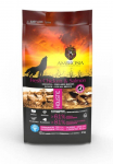 Ambrosia Grain-Free Junior Large breed Fresh Chicken & Salmon - begrūdis sausas maistas jauniems, didelių veislių &scaron;unims - Produkto Svoris 12kg pažeista pakuotė