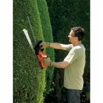 Black & Decker GTC1845L20 akumuliatorinis gyvatvorių žirklių komplektas su dvigubu peiliu, 2600g (B667995)