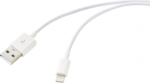 Renkforce USB-Kabel USB 2.0 USB-A Stecker, Apple Lightning Stecker 1.00 m Wei&szlig; RF-6857548 (RF-6857548)