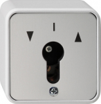 GIRA 014430 Lichtschalter Grau (014430)