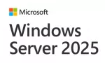 Microsoft Windows Server 2025 licencija serverio operacinei sistemai