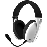 Canyon Gaming Headset GH-13 7.1 Surround/2.4GhZ/BT/USB-C wh retail