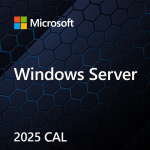 Microsoft Windows Server CAL 2025 Client Access License (CAL) 1 license(s)