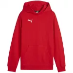 Puma Team Goal Casuals Hoodie Sweatshirt Red 658619 01 152cm