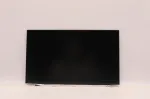 LCD monitorius Lenovo 15.6 colio WXGA modelis 5D10W35432, 1366&times;768 rai&scaron;ka