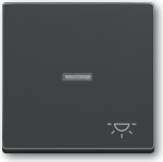 Busch-Jaeger 1751-0-2931. Steuerung: Kn&ouml;pfe, Produktfarbe: Anthrazit. Breite: 63 mm, H&ouml;he: 63 mm. Menge pro Packung: 1 St&uuml;ck(e) (1751-0-2931)