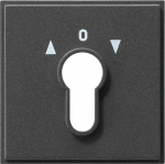 GIRA 066467 Zubeh&ouml;r f&uuml;r elektrische Schalter (066467)