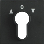 GIRA Abdeckung Schl&uuml;sselschalter System 55, Standard 55, E2, Event, Event Klar, Event Opak, Esprit, ClassiX Anthrazit 0 (066428)