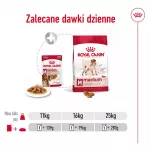 ROYAL CANIN SHN Medium Adult padaže &ndash; &scaron;lapias ėdalas suaugusiems vidutinių veislių &scaron;unims &ndash; 10x140g