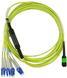 Kompatibles Alcatel-Nokia 3HE13897AA-1 BlueOptics LWL Breakout Patchkabel, MPO/APC, 4xDuplex LC/UPC, 1 Meter, Singlemode E9/125&micro;m, G.657.A1, Markenfaser, 3.0mm LSZH gelb, 8 Kerne und MPO Stecker ohne Pins, inkl. Messprotokoll (3HE13897AA-1-BO)
