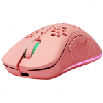 Deltaco GAM-120-P Maus rechts RF Wireless + USB Type-C Laser 4800 DPI (GAM-120-P)