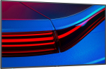 NEC Display MultiSync P495 - 124.5 cm (49) Diagonalklasse P Series LCD-Display mit LED-Hintergrundbeleuchtung - Digital Signage - 4K UHD (2160p)
