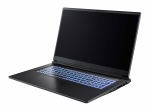 CAPTIVA Notebook Highend Gaming I98-032CH i7-13620H (17.3, 32GB, 1TB SSD, GeForce RTX 5070 8GB, w/o OS) (98032)