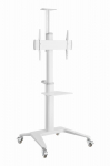 TV SET ACC FLOOR STAND 37-70/WHITE TVS-70T-02-W GEMBIRD