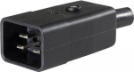 as - Schwabe Kaltger&auml;te-Steckverbinder Stecker, gerade Gesamtpolzahl: 3 10 A Schwarz 62084 1 St. (62084)