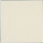 Jung Abdeckung Blindabdeckung LS 990, LS design, LS plus Creme-Wei&szlig; LS 994 B (LS 994 B)