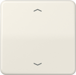 Jung Wippe Symbole ws f&uuml;r Taster CD 590 P (CD590P)