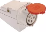 As Schwabe 60432