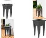 EDA Mini pakelta lysvė VEG&Table Aromatique, antracito spalvos, 23L, 385x385x680mm 013927 G.ANT CX