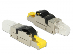 DeLOCK - Netzwerkanschluss - RJ-45 (M) - 6.22 cm - CAT 6a