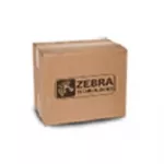 Zebros spausdinimo galvutės valymo rinkinys P1046696-099