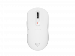 GENESIS NMG-2194 mouse Gaming Ambidextrous Bluetooth + USB Type-C Optical 26000 DPI