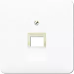 Jung CD 569-1 UA WW &ndash; sieninis RJ-45 lizdo įdėklas, baltas