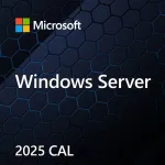 Microsoft Windows Server 2025 CAL licencija naudotojui, OEM, 1 klientas, EP2-25268