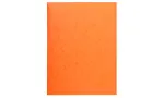 Exacompta 56409E A4 Bristol Card Orange 200 Sheets 0.5 mm 240 g/m&sup2;