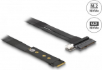 Delock - Schnittstellenadapter - U.2 NVMe - M.2 Card (64216)